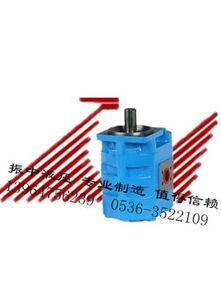 實(shí)惠可靠的高壓齒輪油泵——振中液壓機(jī)械廠專業(yè)供應(yīng)青州液壓油泵