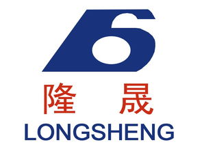 蘭州隆晟包裝食品機(jī)械與雪鵬科技 專注食品機(jī)械，賦能行業(yè)高效生產(chǎn)